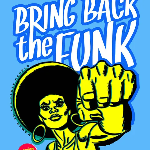Cover art for Bring Back THE FUNK